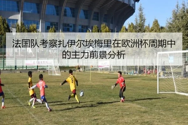法国队考察扎伊尔埃梅里在欧洲杯周期中的主力前景分析
